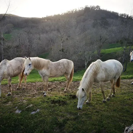 La Casina Del Cabrajigo * Cangas de Onis