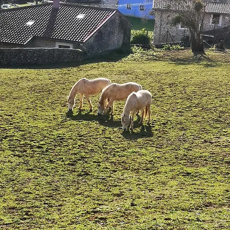 Сasa de vacaciones La Casina Del Cabrajigo *