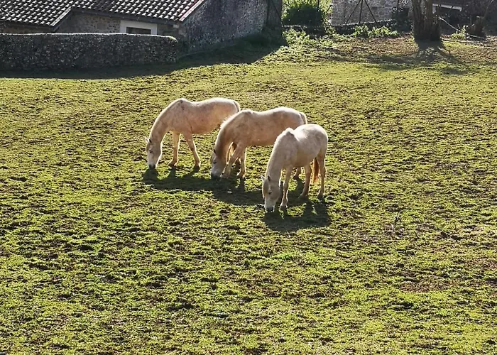 Сasa de vacaciones La Casina Del Cabrajigo *